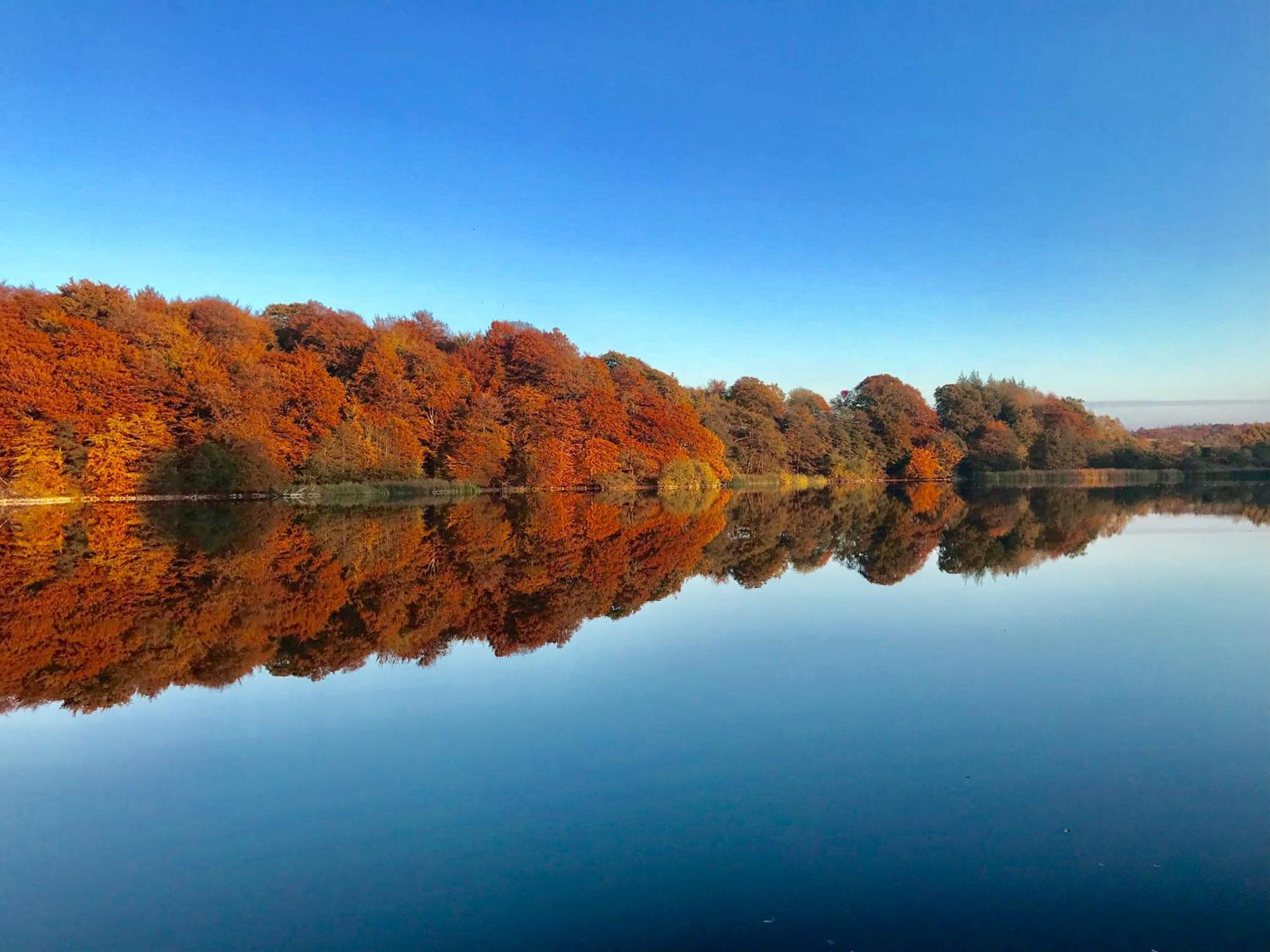 Готель Skjoldenaesholm Slot Jystrup Екстер'єр фото